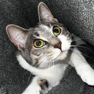 Meet your Posher, Mindy